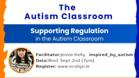 Supporting Regulation in the Autism Classroom
